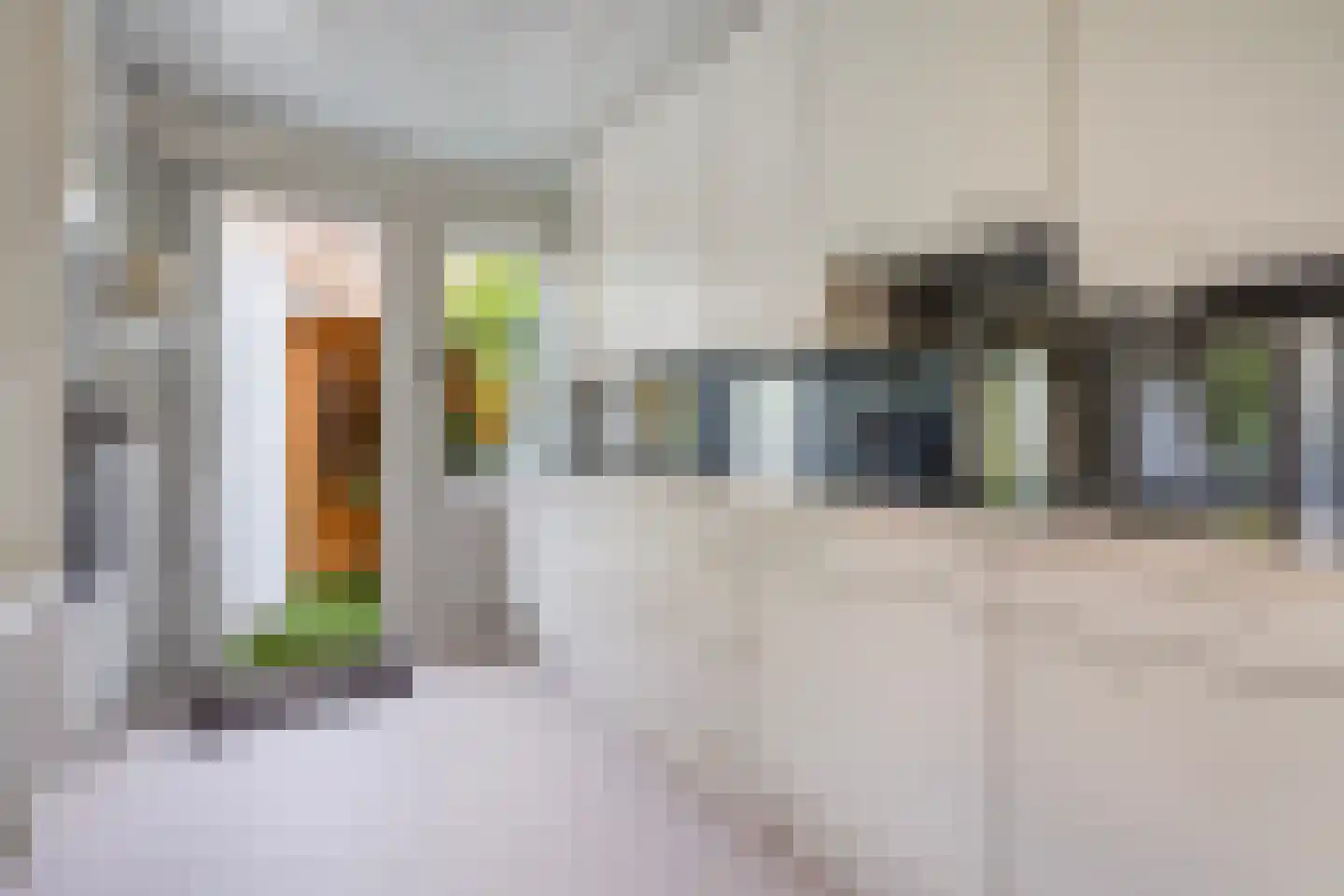 Papegaailaan 21 Den Haag thumbnail 15