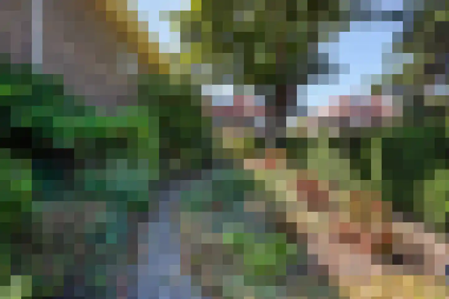 Papegaailaan 21 Den Haag thumbnail 17