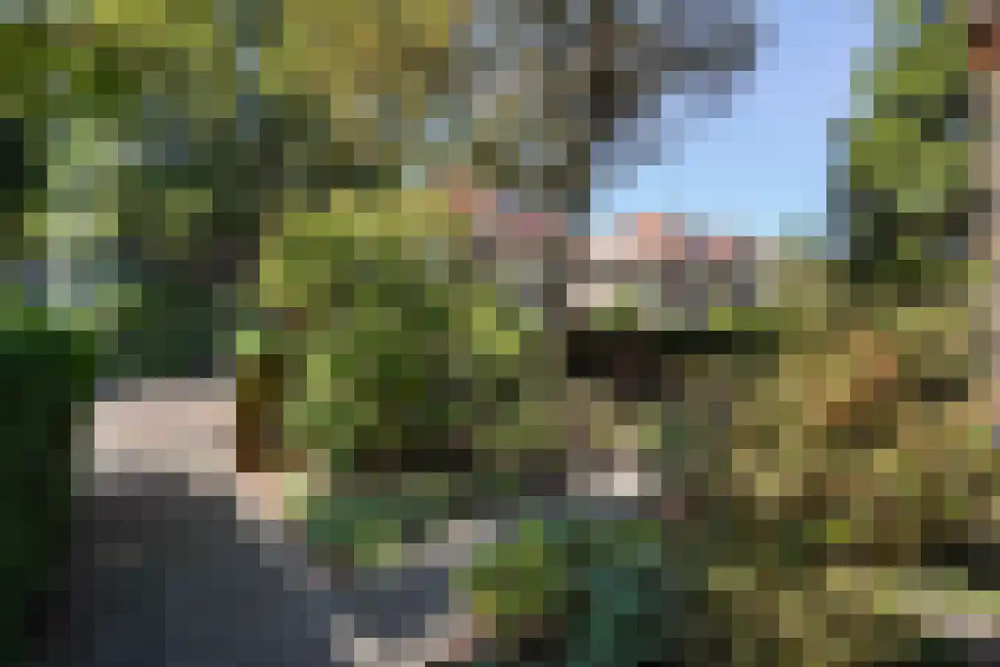 Papegaailaan 21 Den Haag thumbnail 20