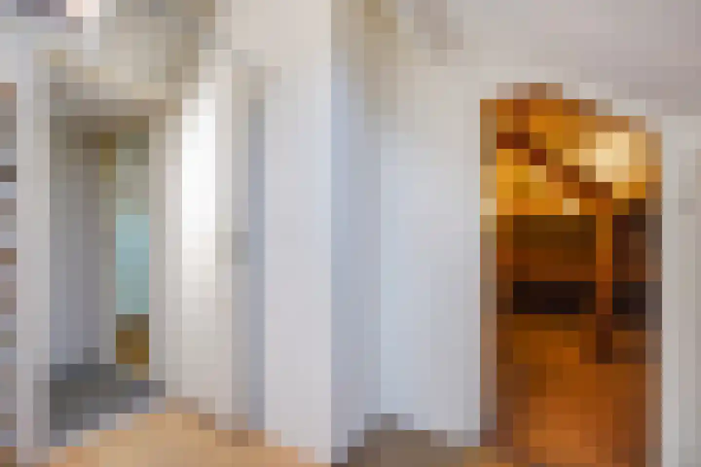 Papegaailaan 21 Den Haag thumbnail 35