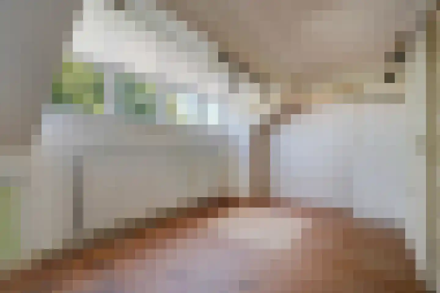 Papegaailaan 21 Den Haag thumbnail 37
