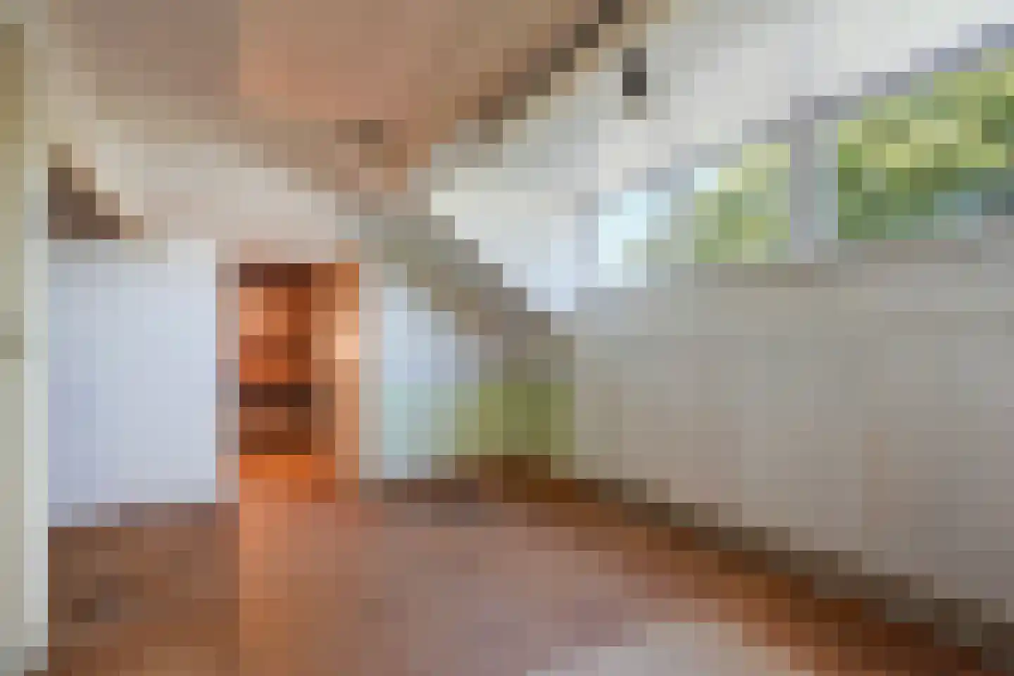Papegaailaan 21 Den Haag thumbnail 38