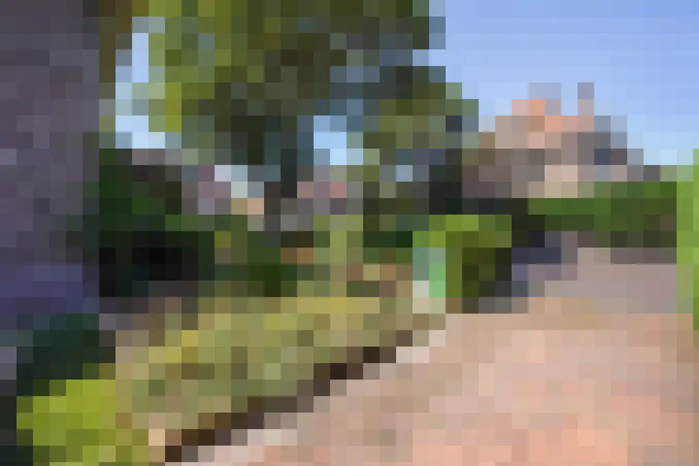 Papegaailaan 21 Den Haag thumbnail 44