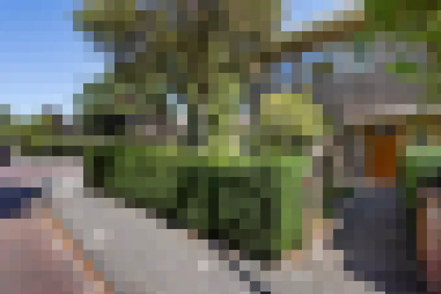 Papegaailaan 21 Den Haag thumbnail 45