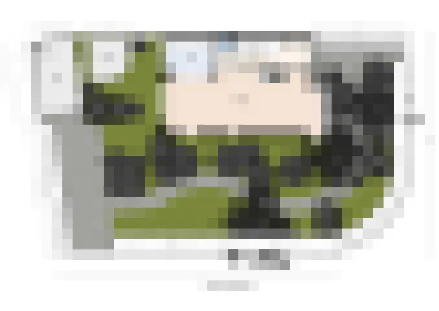 Papegaailaan 21 Den Haag thumbnail 47