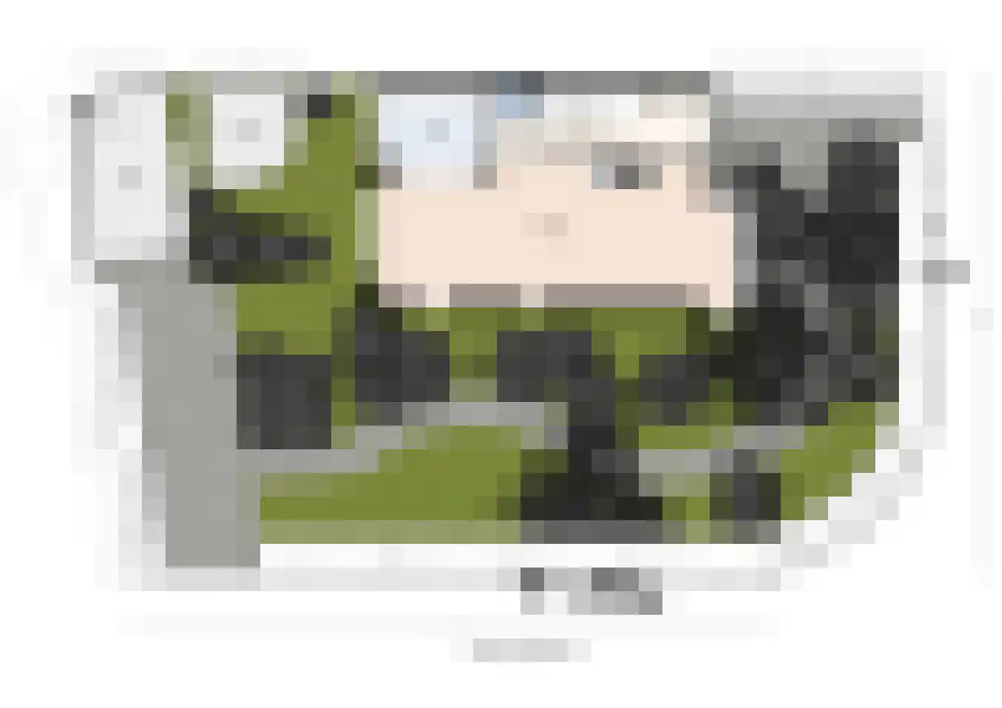 Papegaailaan 21 Den Haag thumbnail 47