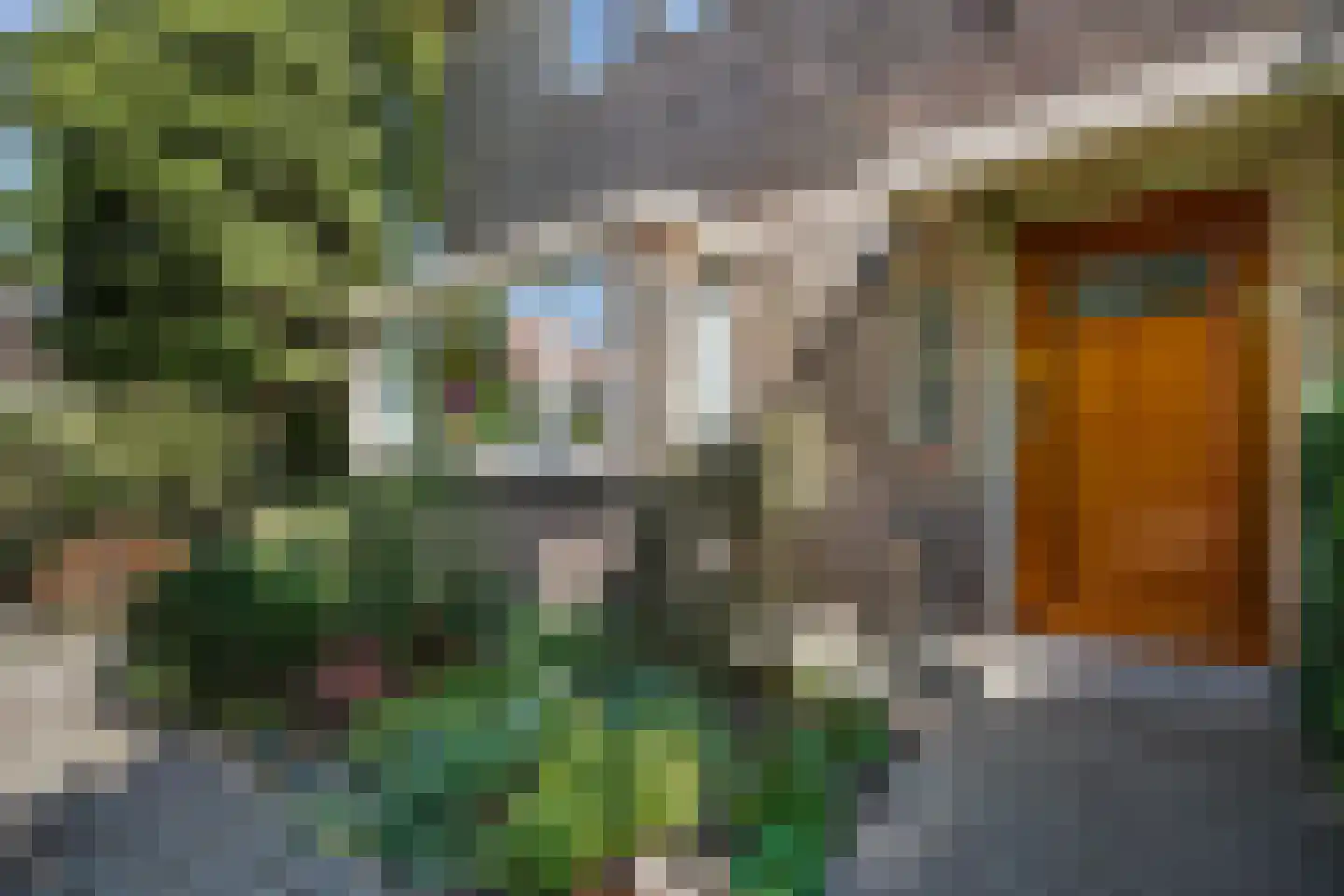 Papegaailaan 21 Den Haag thumbnail 6