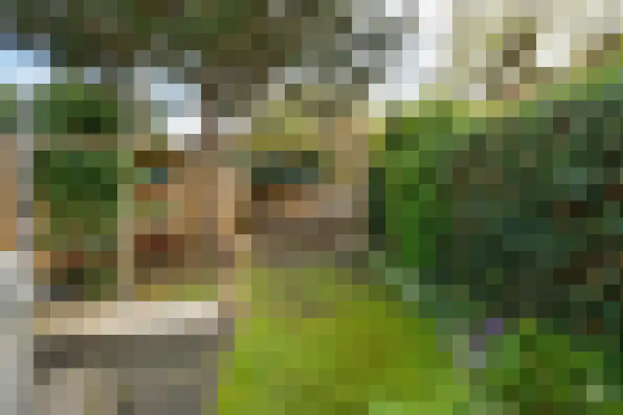 Papegaailaan 28 Den Haag thumbnail 24
