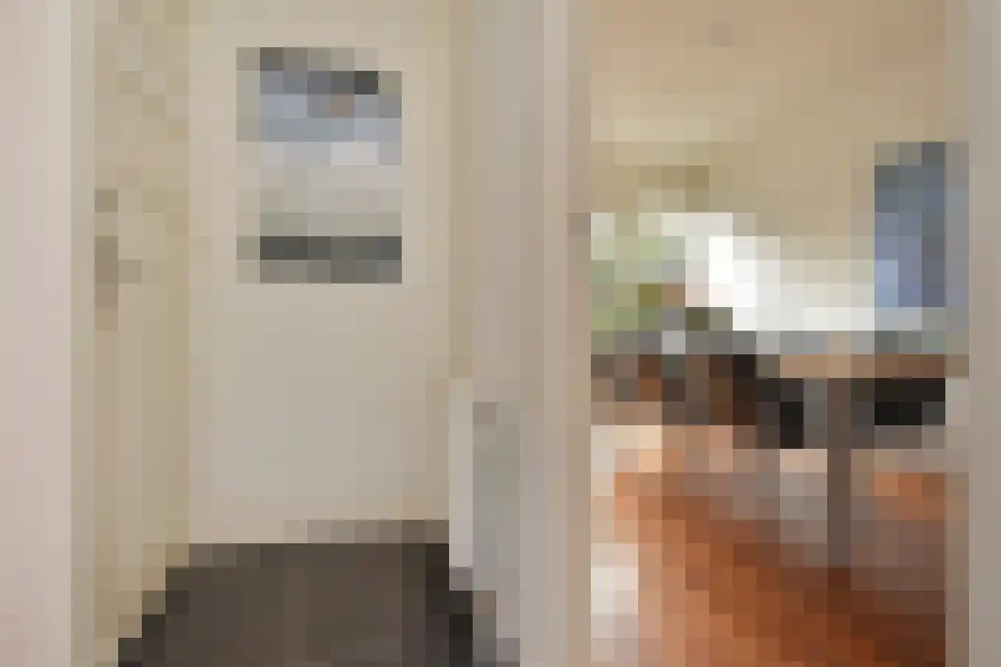 Papegaailaan 28 Den Haag thumbnail 29
