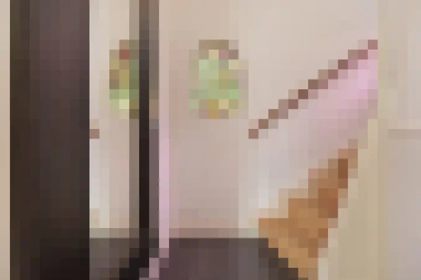 Papegaailaan 28 Den Haag thumbnail 31