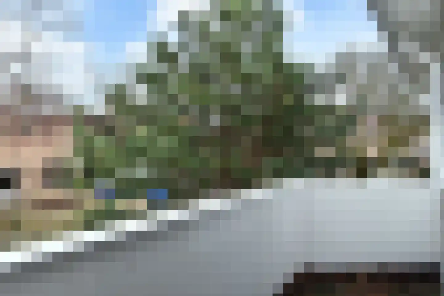 Papegaailaan 28 Den Haag thumbnail 38