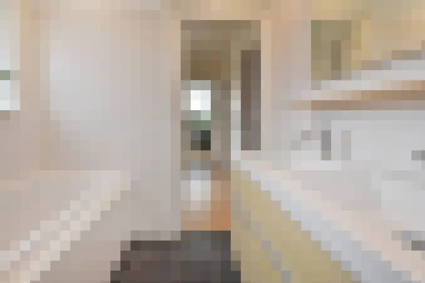 Papegaailaan 28 Den Haag thumbnail 44