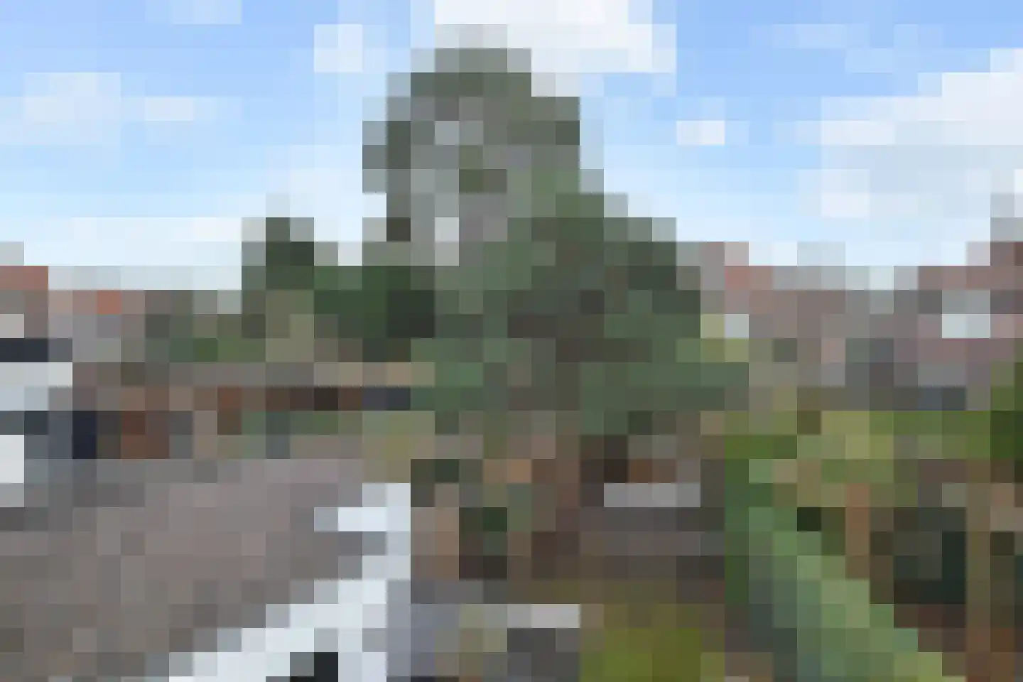 Papegaailaan 28 Den Haag thumbnail 50