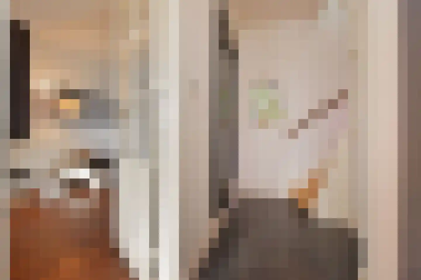 Papegaailaan 28 Den Haag thumbnail 6