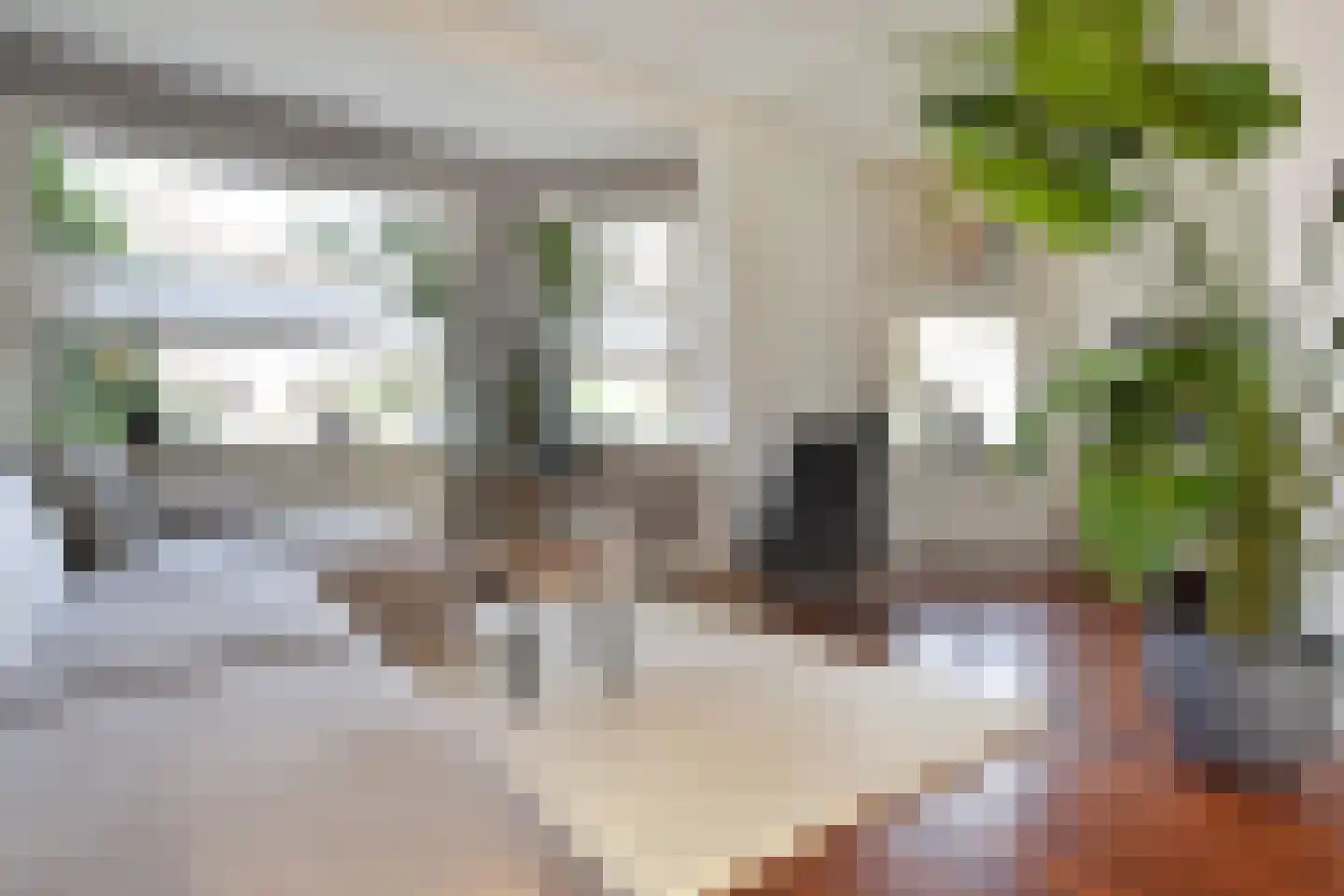 Papegaailaan 28 Den Haag thumbnail 9