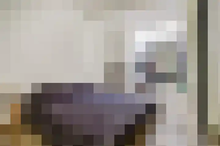Papegaaistraat 14 Goes thumbnail 11