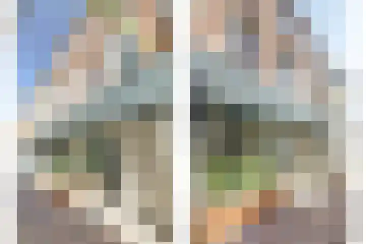 Papegaaistraat 14 Goes thumbnail 13