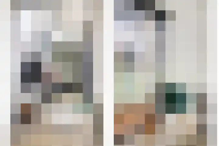 Papegaaistraat 14 Goes thumbnail 14