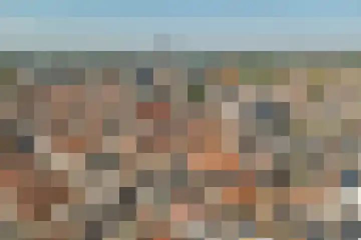 Papegaaistraat 14 Goes thumbnail 17