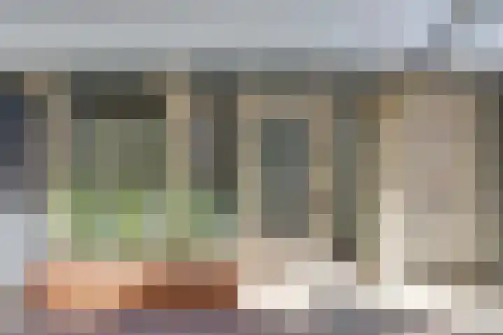 Papegaaistraat 14 Goes thumbnail 18