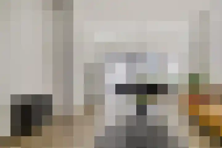 Papegaaistraat 14 Goes thumbnail 6