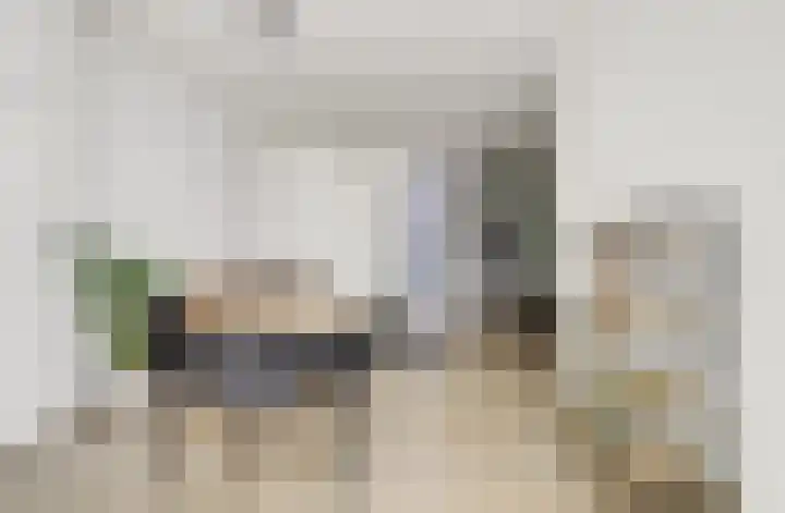 Papegaaistraat 14 Goes thumbnail 7