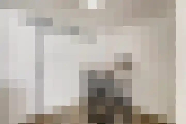Papegaaistraat 14 Goes thumbnail 9