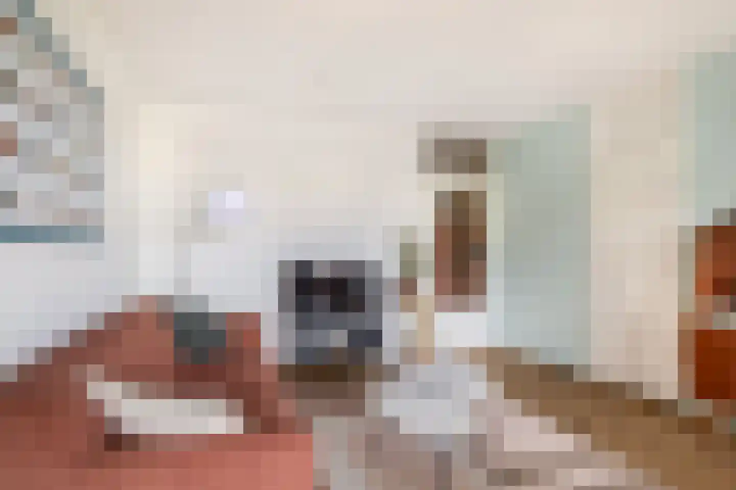 Papegaaistraat 160 Rotterdam thumbnail 11