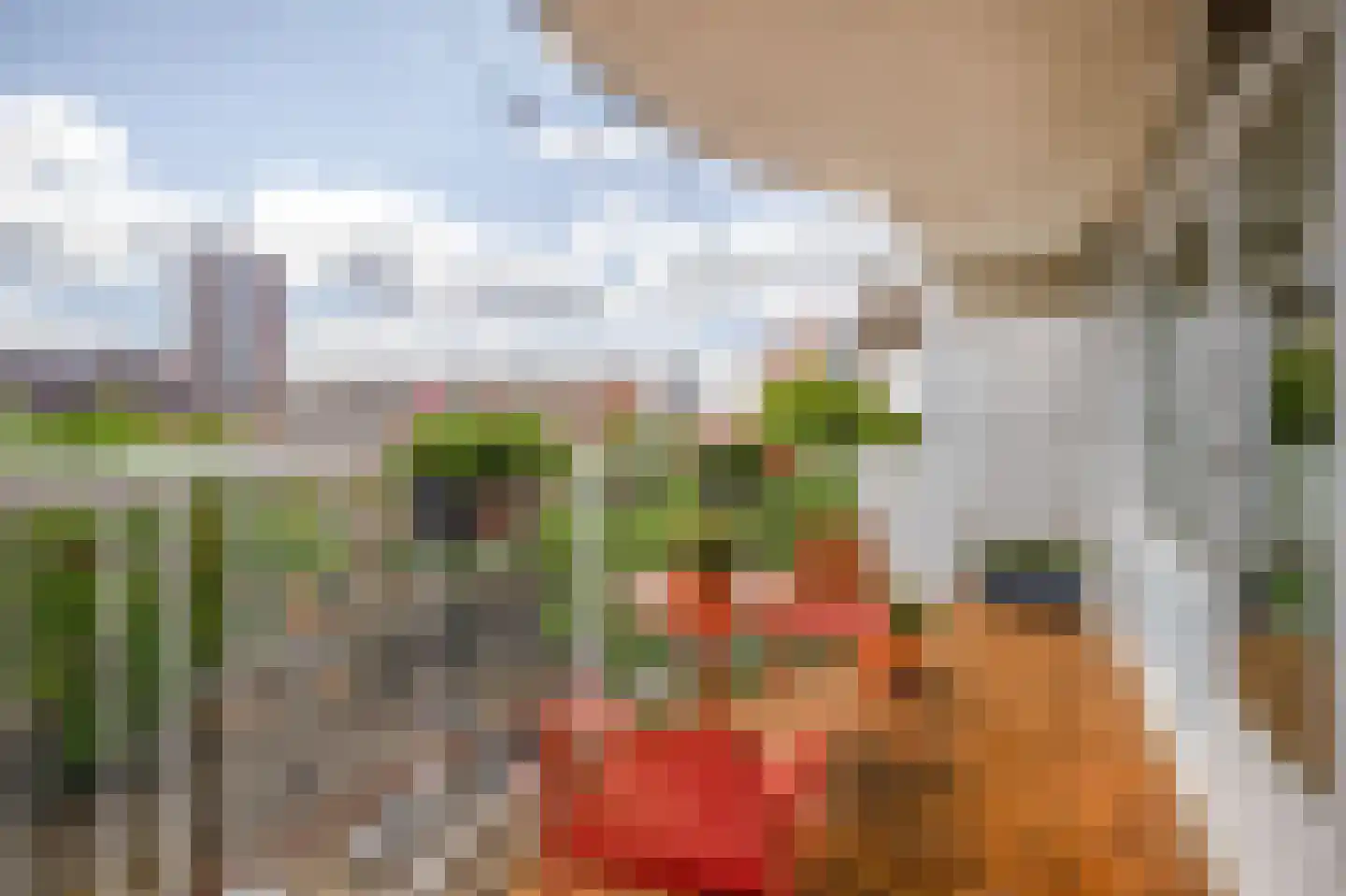 Papegaaistraat 160 Rotterdam thumbnail 16