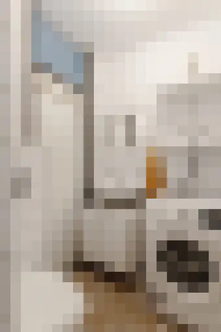 Papegaaistraat 162 Rotterdam thumbnail 30