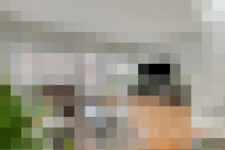 Papegaaistraat 3 Krommenie thumbnail 12