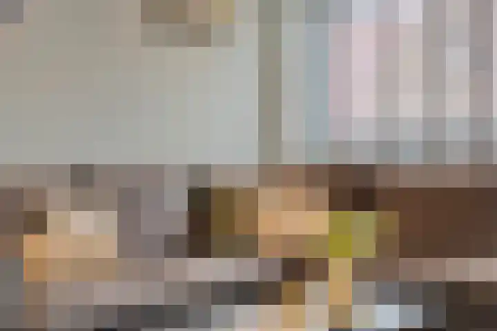Papegaaistraat 3 Krommenie thumbnail 14