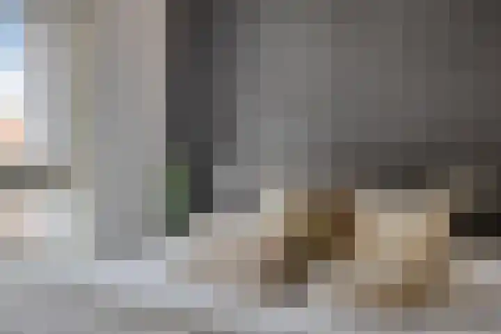 Papegaaistraat 3 Krommenie thumbnail 17