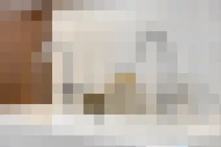 Papegaaistraat 3 Krommenie thumbnail 19