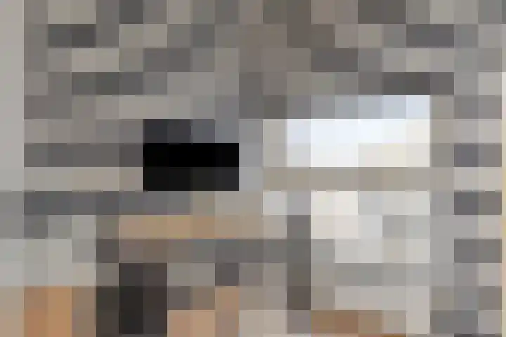 Papegaaistraat 3 Krommenie thumbnail 21