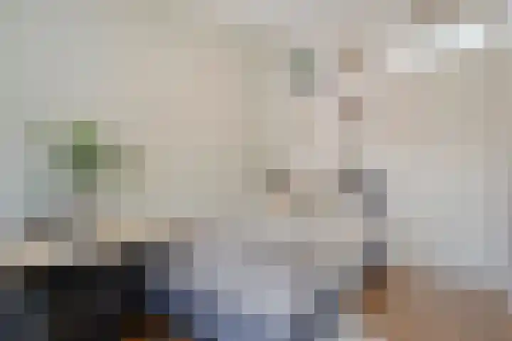 Papegaaistraat 3 Krommenie thumbnail 23