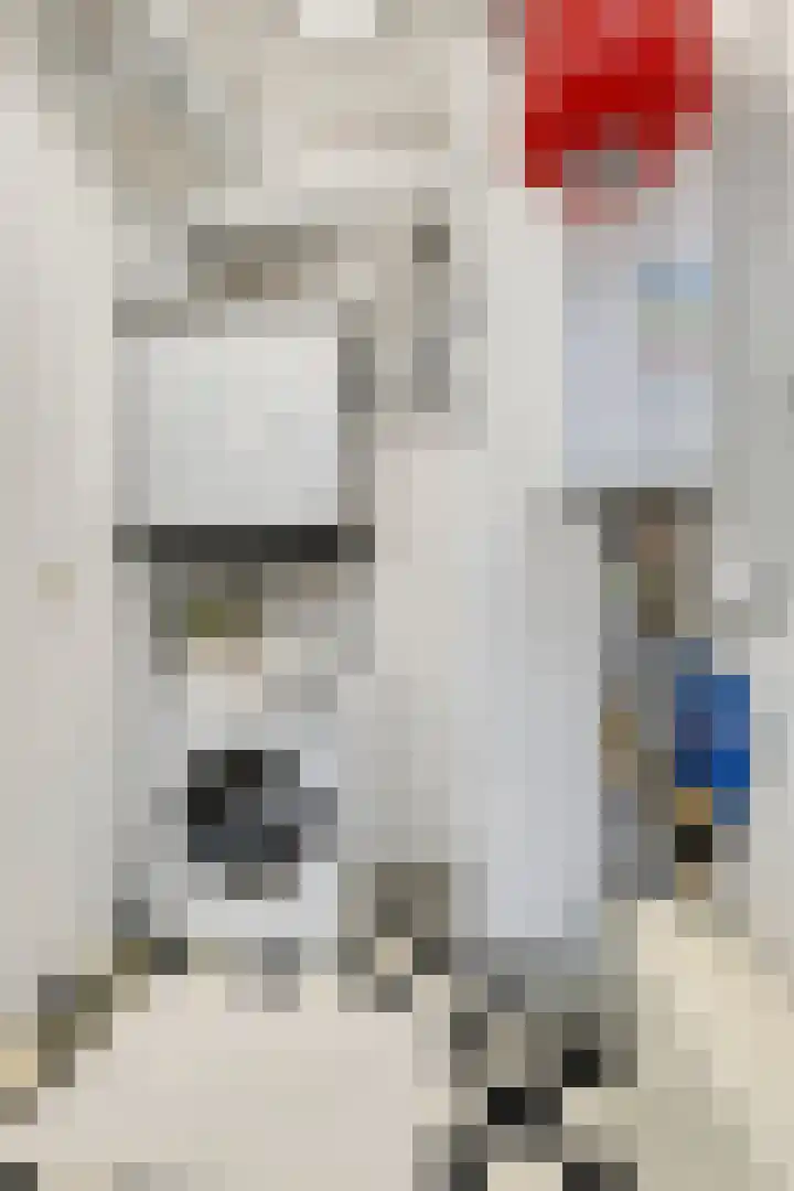 Papegaaistraat 3 Krommenie thumbnail 25