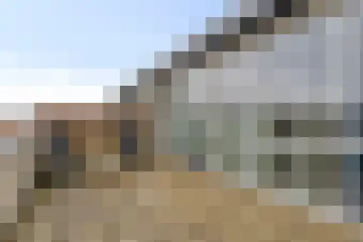 Papegaaistraat 3 Krommenie thumbnail 27