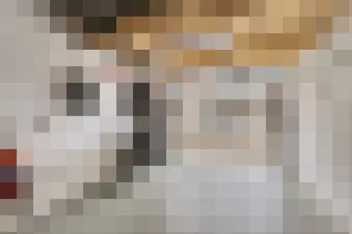 Papegaaistraat 3 Krommenie thumbnail 30