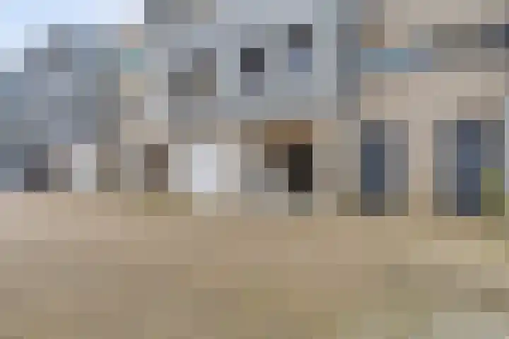 Papegaaistraat 3 Krommenie thumbnail 31