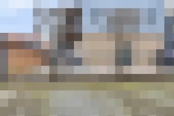 Papegaaistraat 3 Krommenie thumbnail 32