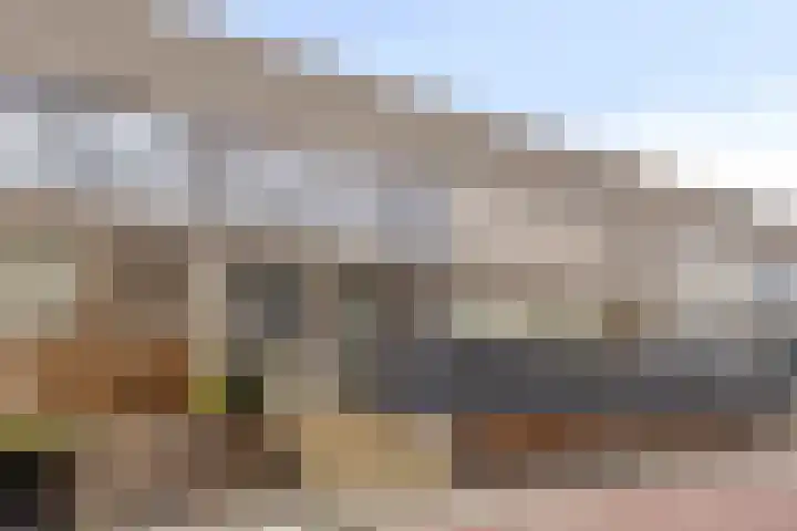 Papegaaistraat 3 Krommenie thumbnail 34