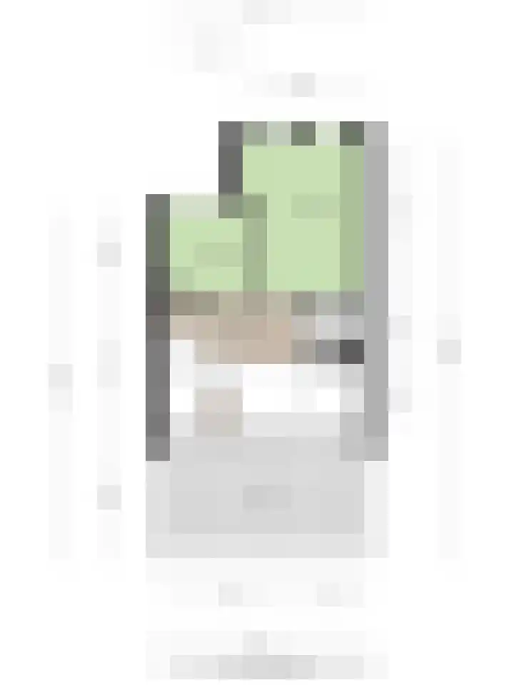 Papegaaistraat 3 Krommenie thumbnail 42