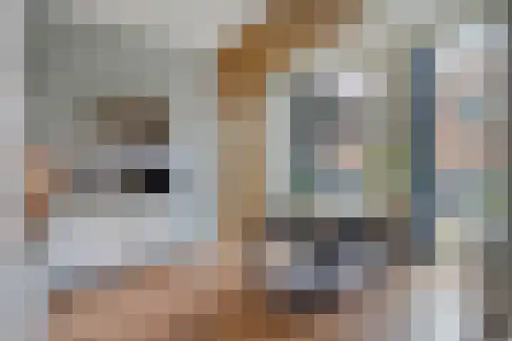 Papegaaistraat 3 Krommenie thumbnail 5