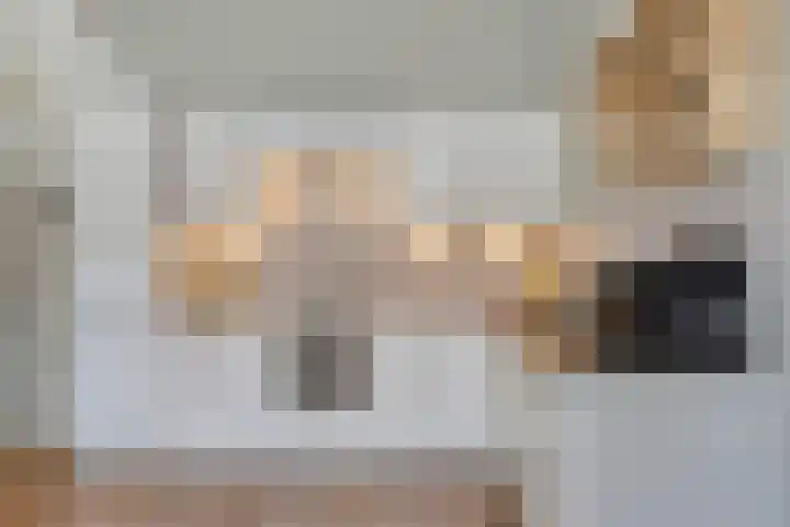 Papegaaistraat 3 Krommenie thumbnail 6