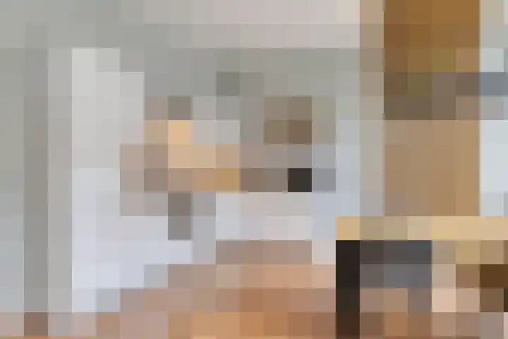Papegaaistraat 3 Krommenie thumbnail 7