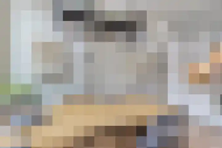 Papegaaistraat 3 Krommenie thumbnail 9