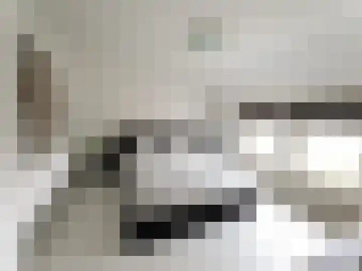 Papegaaistraat 43 Venlo thumbnail 10
