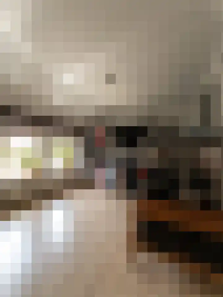 Papegaaistraat 43 Venlo thumbnail 13