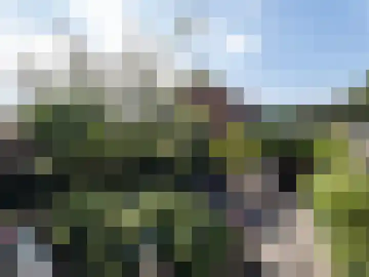 Papegaaistraat 43 Venlo thumbnail 25